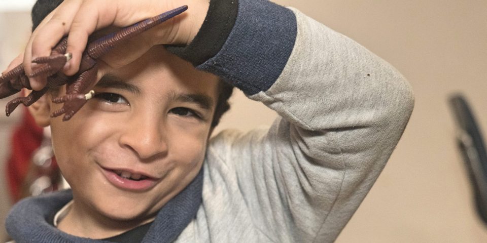 Our programs hero image